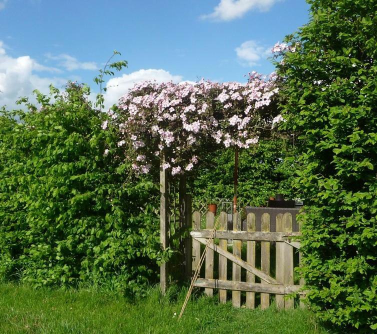 La Maison Des Fleurs Hotell Saint-Senoch Eksteriør bilde